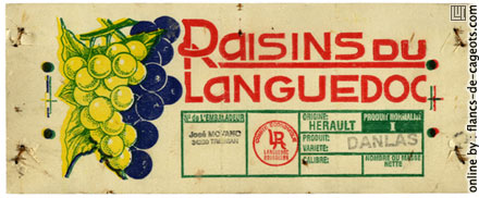 celr-raisins.jpg
